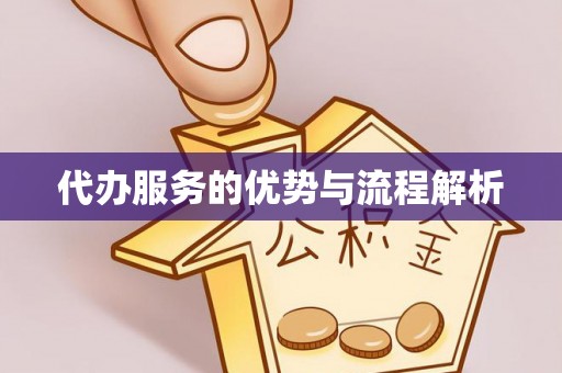 丰城代办服务的优势与流程解析