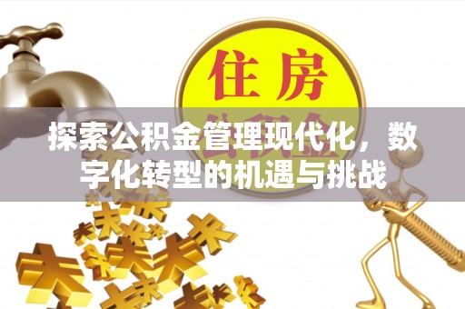 丰城探索公积金管理现代化，数字化转型的机遇与挑战