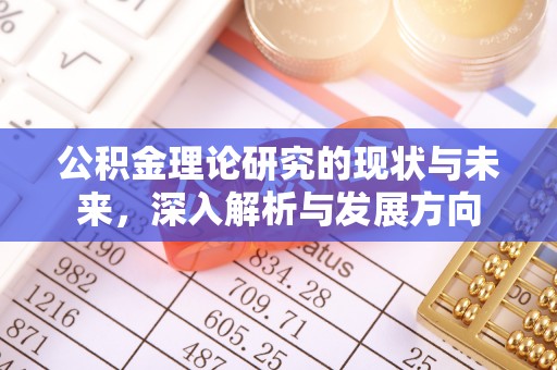 丰城公积金理论研究的现状与未来，深入解析与发展方向