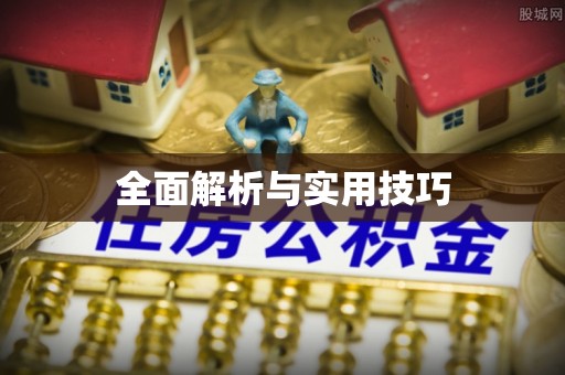 丰城全面解析与实用技巧