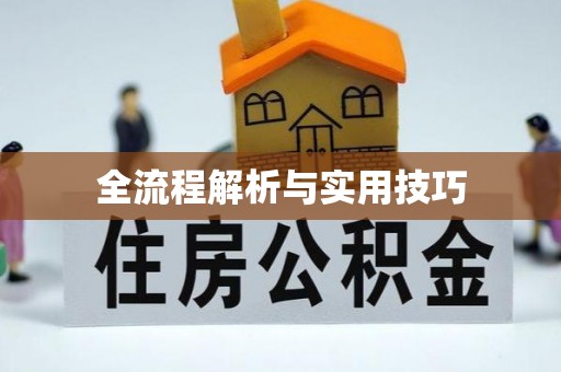 丰城全流程解析与实用技巧