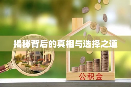丰城揭秘背后的真相与选择之道