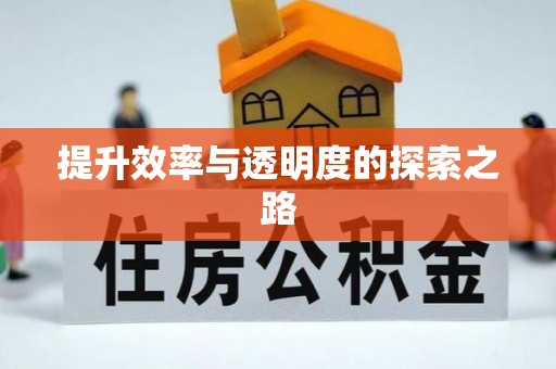 丰城提升效率与透明度的探索之路