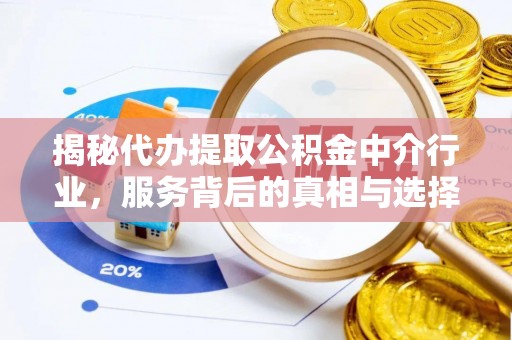 丰城揭秘代办提取公积金中介行业，服务背后的真相与选择指南