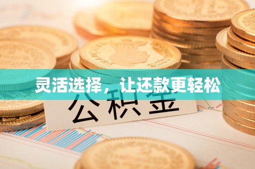 丰城灵活选择，让还款更轻松
