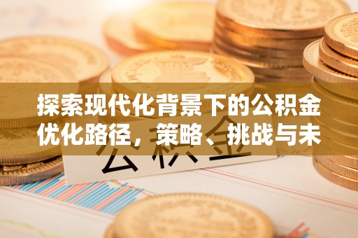 丰城探索现代化背景下的公积金优化路径，策略、挑战与未来展望