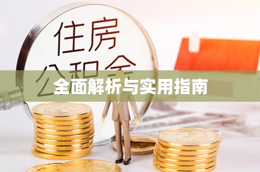 丰城全面解析与实用指南
