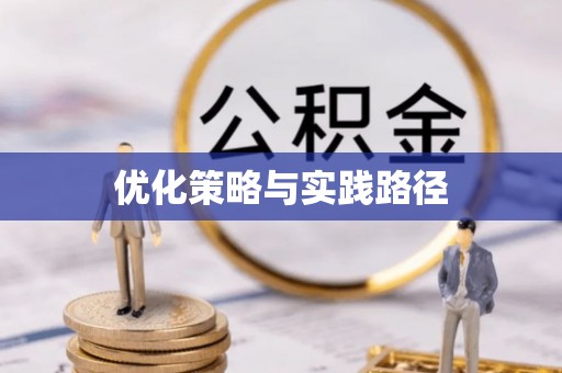 丰城优化策略与实践路径