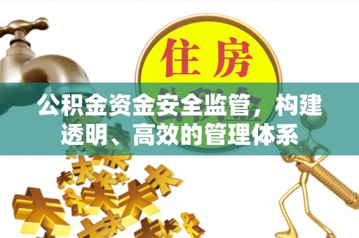 丰城公积金资金安全监管，构建透明、高效的管理体系