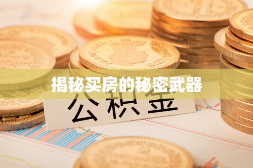 丰城揭秘买房的秘密武器