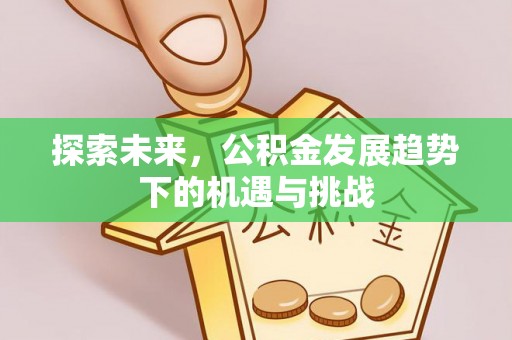 丰城探索未来，公积金发展趋势下的机遇与挑战