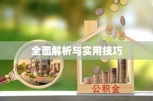 丰城全面解析与实用技巧