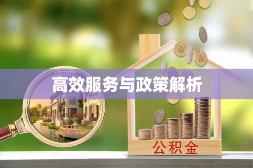 丰城高效服务与政策解析