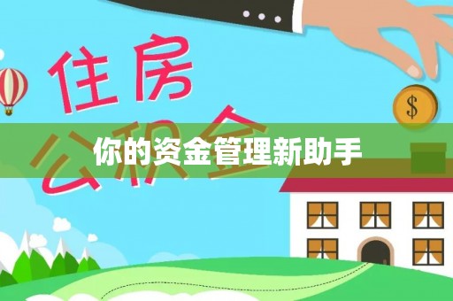 丰城你的资金管理新助手