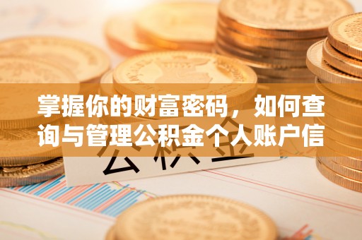丰城掌握你的财富密码，如何查询与管理公积金个人账户信息