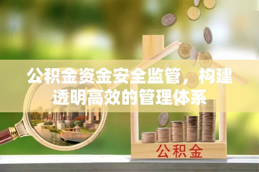 丰城公积金资金安全监管，构建透明高效的管理体系