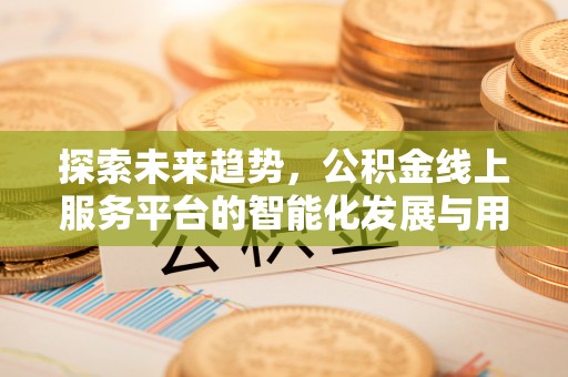 丰城探索未来趋势，公积金线上服务平台的智能化发展与用户便利性提升