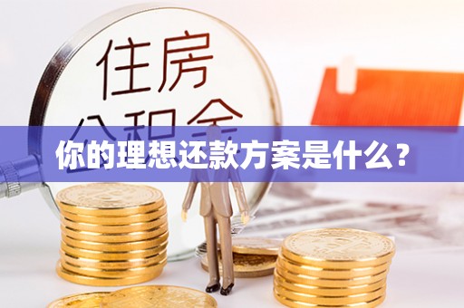 丰城你的理想还款方案是什么？