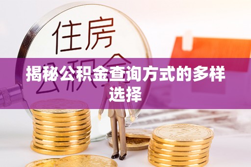 丰城揭秘公积金查询方式的多样选择