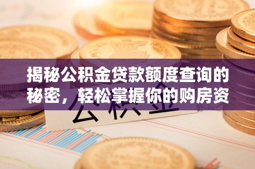 丰城揭秘公积金贷款额度查询的秘密，轻松掌握你的购房资金
