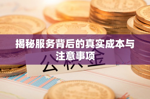 丰城揭秘服务背后的真实成本与注意事项