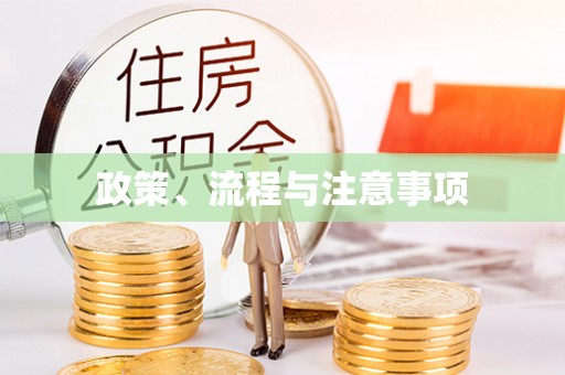 丰城政策、流程与注意事项