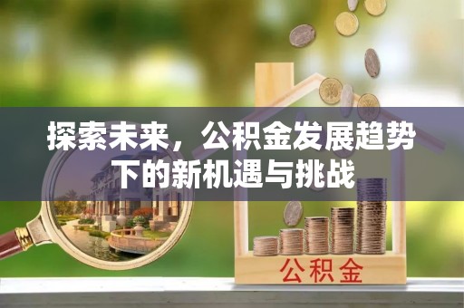 丰城探索未来，公积金发展趋势下的新机遇与挑战