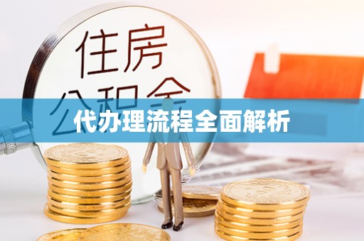 丰城代办理流程全面解析