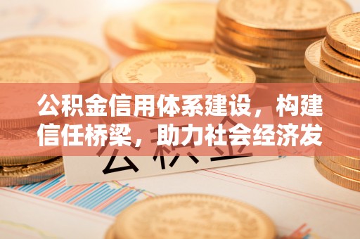丰城公积金信用体系建设，构建信任桥梁，助力社会经济发展
