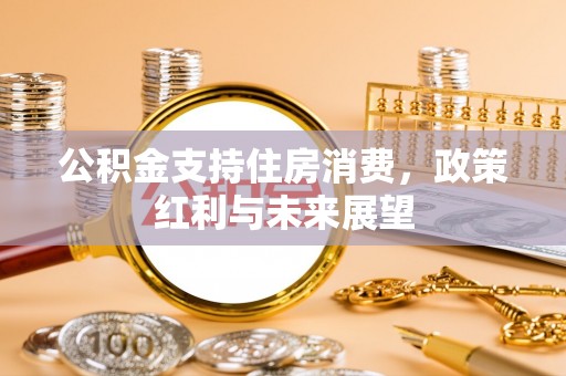 丰城公积金支持住房消费，政策红利与未来展望