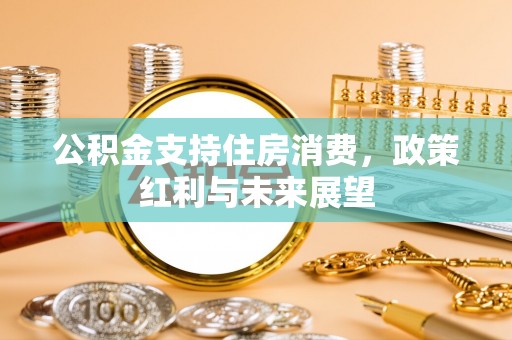 丰城公积金支持住房消费，政策红利与未来展望