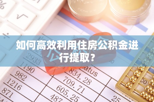 丰城如何高效利用住房公积金进行提取？
