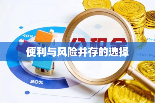 丰城便利与风险并存的选择
