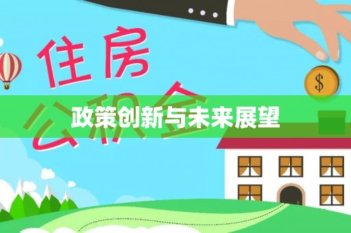 丰城政策创新与未来展望